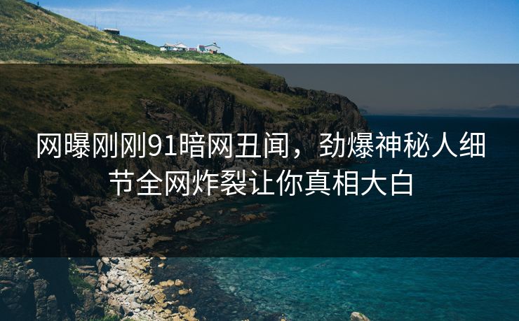 网曝刚刚91暗网丑闻，劲爆神秘人细节全网炸裂让你真相大白  第1张