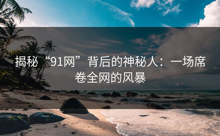 揭秘“91网”背后的神秘人：一场席卷全网的风暴  第1张