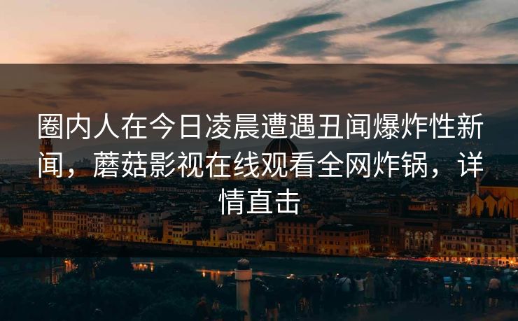 圈内人在今日凌晨遭遇丑闻爆炸性新闻，蘑菇影视在线观看全网炸锅，详情直击  第1张