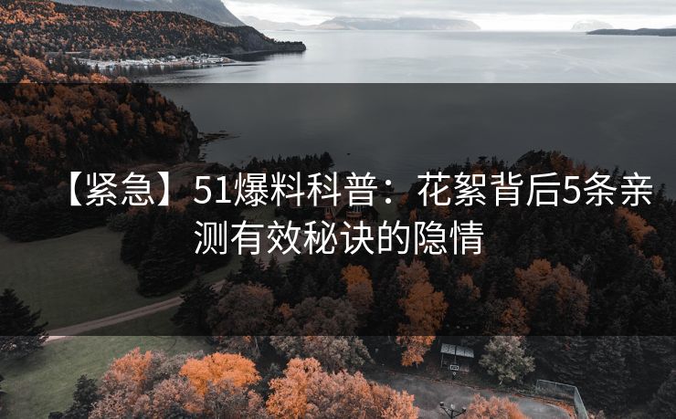 【紧急】51爆料科普：花絮背后5条亲测有效秘诀的隐情