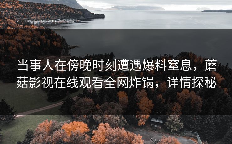 当事人在傍晚时刻遭遇爆料窒息，蘑菇影视在线观看全网炸锅，详情探秘