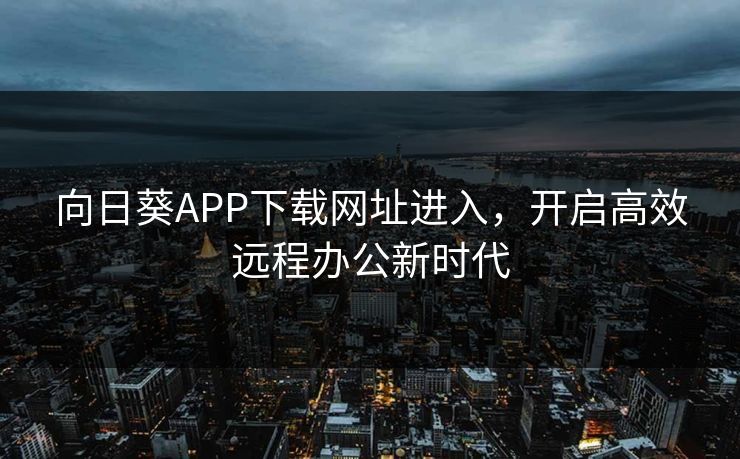 向日葵APP下载网址进入，开启高效远程办公新时代