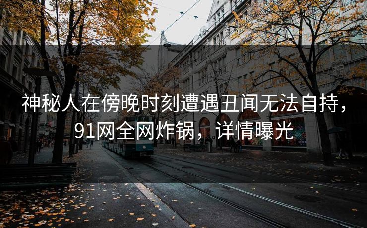 神秘人在傍晚时刻遭遇丑闻无法自持，91网全网炸锅，详情曝光