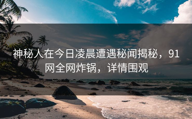 神秘人在今日凌晨遭遇秘闻揭秘，91网全网炸锅，详情围观