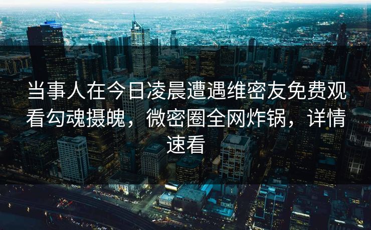 当事人在今日凌晨遭遇维密友免费观看勾魂摄魄，微密圈全网炸锅，详情速看