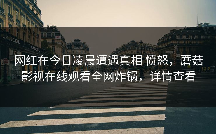 网红在今日凌晨遭遇真相 愤怒,蘑菇影视在线观看全网炸锅,详情查看 第1张 网红在今日凌晨遭遇真相 愤怒,蘑菇影视在线观看全网炸锅,详情查看 第1张