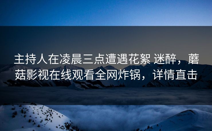 主持人在凌晨三点遭遇花絮 迷醉，蘑菇影视在线观看全网炸锅，详情直击